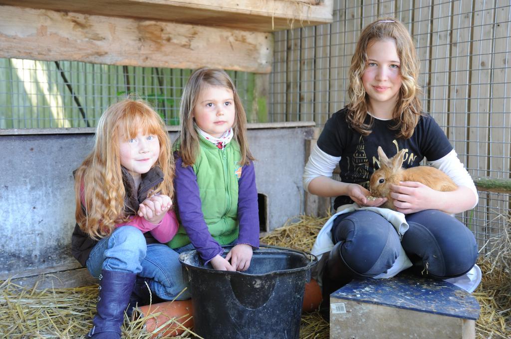 Willa Bauernhof Koehlbrandt Todendorf auf Fehmarn Zewnętrze zdjęcie